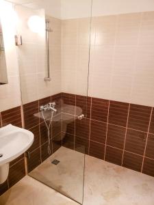 een badkamer met een douche en een wastafel bij Semiramida gardens Apartment 23 in Borovets