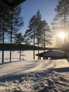 un campo coperto di neve con il sole che splende tra gli alberi di Villa Kuiske a Kuusamo