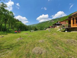 a large grass field next to a house at Apartment Ostojic in Mokra Gora