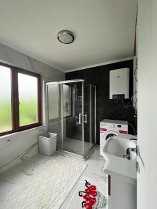 La salle de bains est pourvue d'une douche et d'un lavabo. dans l'établissement Bursa Iznik (Nicea) Doğa İçinde Eşsiz Çiftlik Evi, à İznik