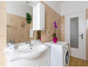 ein Badezimmer mit einem Waschbecken und einer Waschmaschine in der Unterkunft DREAM HOUSE Casa Vacanze in Arma di Taggia