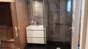 a bathroom with a shower with a sink and a mirror at Ladans loft in Stöllet