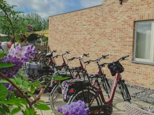 een groep fietsen geparkeerd naast een bakstenen gebouw bij De Pluktuin in Kortessem