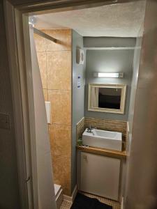 a bathroom with a sink and a mirror at The White Lion Inn in Brinklow