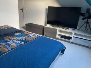 1 dormitorio con TV de pantalla plana y 1 cama en Maison vue panoramique, en Saint-Pierre-Aigle
