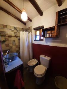 a bathroom with a toilet and a sink at VILLA ESPINA CHALET DE MONTAÑA a 8 km de San Javier in Villa de Las Rosas