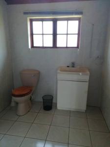a bathroom with a toilet and a sink and a window at Traveller's dream in Graskop
