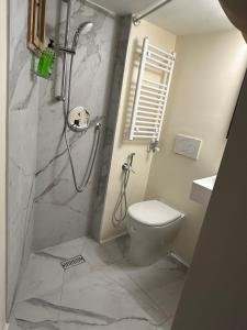 a bathroom with a shower with a toilet and a sink at Venice Rainbow apartments San Zaccaria in Venice