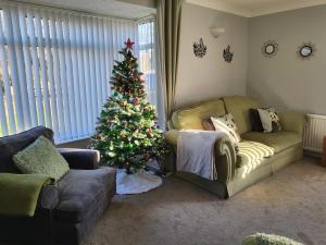 a living room with a christmas tree and a couch at The Barbers in Beverley