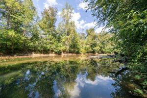 a river in the middle of a forest at Riverfront Cabin wFirepit Pool Table Porch WiFi in Hedgesville