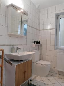 ein Badezimmer mit einem Waschbecken, einem WC und einem Spiegel in der Unterkunft Stilvolle Wohnung an der Alten Mainbrücke in Würzburg