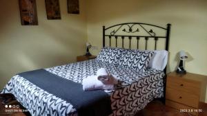 - une chambre avec un lit doté d'un couvre-lit noir et blanc dans l'établissement Albergue Valle de Tobalina, à Quintana-Martín Galíndez