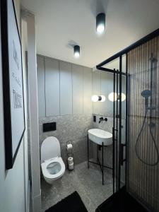 a bathroom with a toilet and a sink at Apartament Cieszynka in Ciechanów