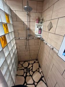 珀蒂蒂勒Maison 5 chambres avec piscine的带淋浴的瓷砖浴室