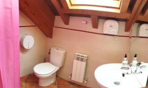 La salle de bains est pourvue de toilettes et d'un lavabo. dans l'établissement Albergue Valle de Tobalina, à Quintana-Martín Galíndez