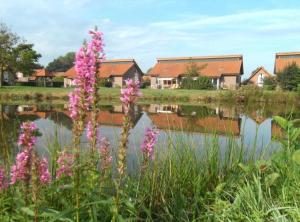 a row of houses next to a lake with pink flowers at Ferienhaus Gut Düneburg in Haren