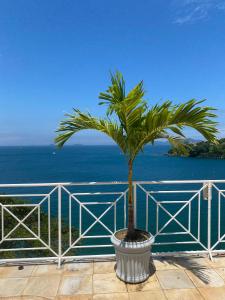 a palm tree in a pot in front of the ocean at Pousada Ponta do Leste in Angra dos Reis
