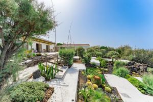 a garden with a bench and plants and a house at Boutique Eco Hotel Costa Mágica in Las Lagunas