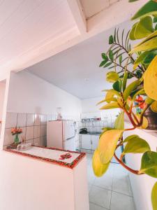 a kitchen with a refrigerator and a plant at Aconchegante e lindo Apartamento da Graça perto do aeroporto e melhor churrascaria in Porto Seguro
