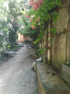 Zahrada ubytování Casa 262
