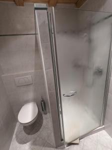 een badkamer met een toilet en een douchecabine bij Appartement Egart 2 in Resia
