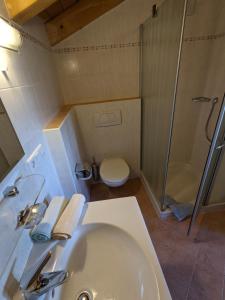 a bathroom with a sink and a shower and a toilet at Mansardenwohnung Egart in Resia