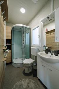 a bathroom with a shower and a toilet and a sink at Lucky House in Gradac