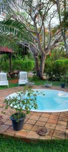 a small pool with two white chairs and a tree at 3QUARTOS PIPA4YOU in Pipa