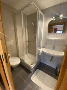 セストにあるUnteradamerhofのバスルーム(シャワー、トイレ、シンク付)