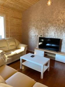 a living room with two couches and a flat screen tv at Cabana DEBORAH , Fardea lacu Surduc in Fîrdea