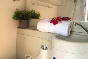 a bathroom with a roll of toilet paper and a towel at Akisol Azeitão Ride in Azeitao