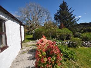 a garden with red flowers next to a house at 1 bed property in Lochinver The Highlands SU304 in Lochinver