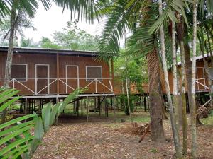 dom w środku lasu z palmami w obiekcie Amazon Seringal jungle Lodge w mieście Careiro