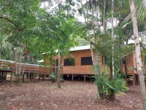 uma casa no meio de uma floresta de árvores em Amazon Seringal jungle Lodge em Careiro