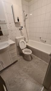 a bathroom with a toilet and a tub and a sink at Apartament Berghof in Bayerischen Wald in Sankt Englmar