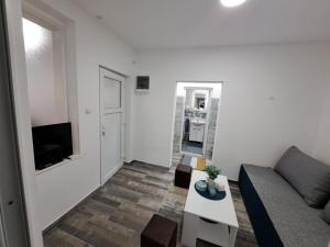 札耶查爾的住宿－Apartman Arsić Zajecar，客厅配有沙发和桌子