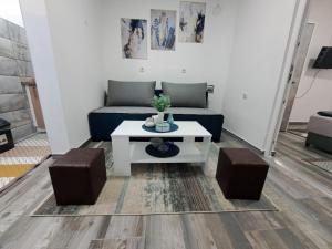 Apartman Arsić Zajecar休息區