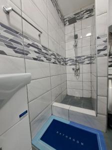 La salle de bains est pourvue d'une douche avec un sol bleu. dans l'établissement Apartman Arsić Zajecar, à Zaječar