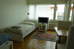 TV a/nebo společenská místnost v ubytování Basel Rooms Appartements