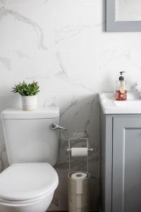 a bathroom with a toilet with a plant on top of it at Luxury Waterfront House in Cobh