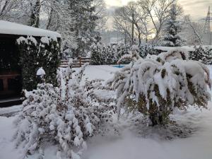 a bush covered in snow in a yard at Mini Hotel Zakrut in Tatariv