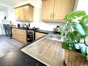 a kitchen with a sink and a plant at Thorntree Place Blue Skies Stays in Thornaby on Tees