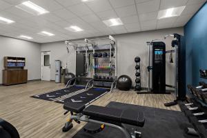 a gym with tread machines and weights in a room at Hampton Inn & Suites Ruskin I-75, FL in Ruskin