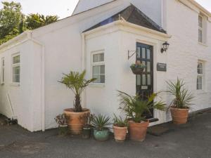 a white house with potted plants in front of it at Blacksmiths Cottage in Newquay