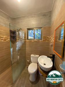 哈拉瓦科阿的住宿－Jade Mountain Suites, Jarabacoa，一间带卫生间和水槽的浴室