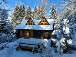 兹雷切Chalet Bellevue Rogla的雪地里的树林小屋