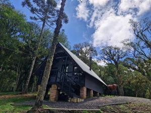 a black cabin in the woods with a tree at Recanto das Folhas - Oásis Pousada in Cambara do Sul
