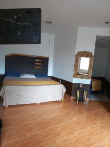 Postel nebo postele na pokoji v ubytování Hotel Alameda Maravatio