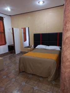 Postel nebo postele na pokoji v ubytování Hotel Alameda Maravatio