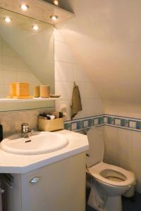 een badkamer met een wastafel en een toilet bij La petite hermine in Saint-Malo